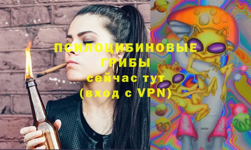 OMG ссылки  Чусовой  Псилоцибиновые грибы Magic Shrooms  магазин  наркотиков 